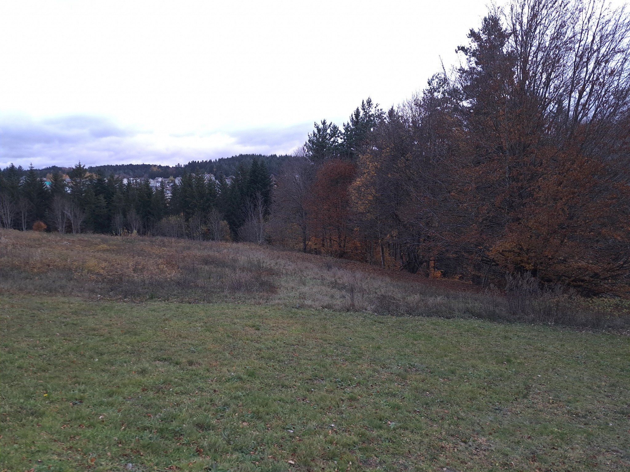 Vente Terrain à le Chambon-sur-Lignon 0 pièce