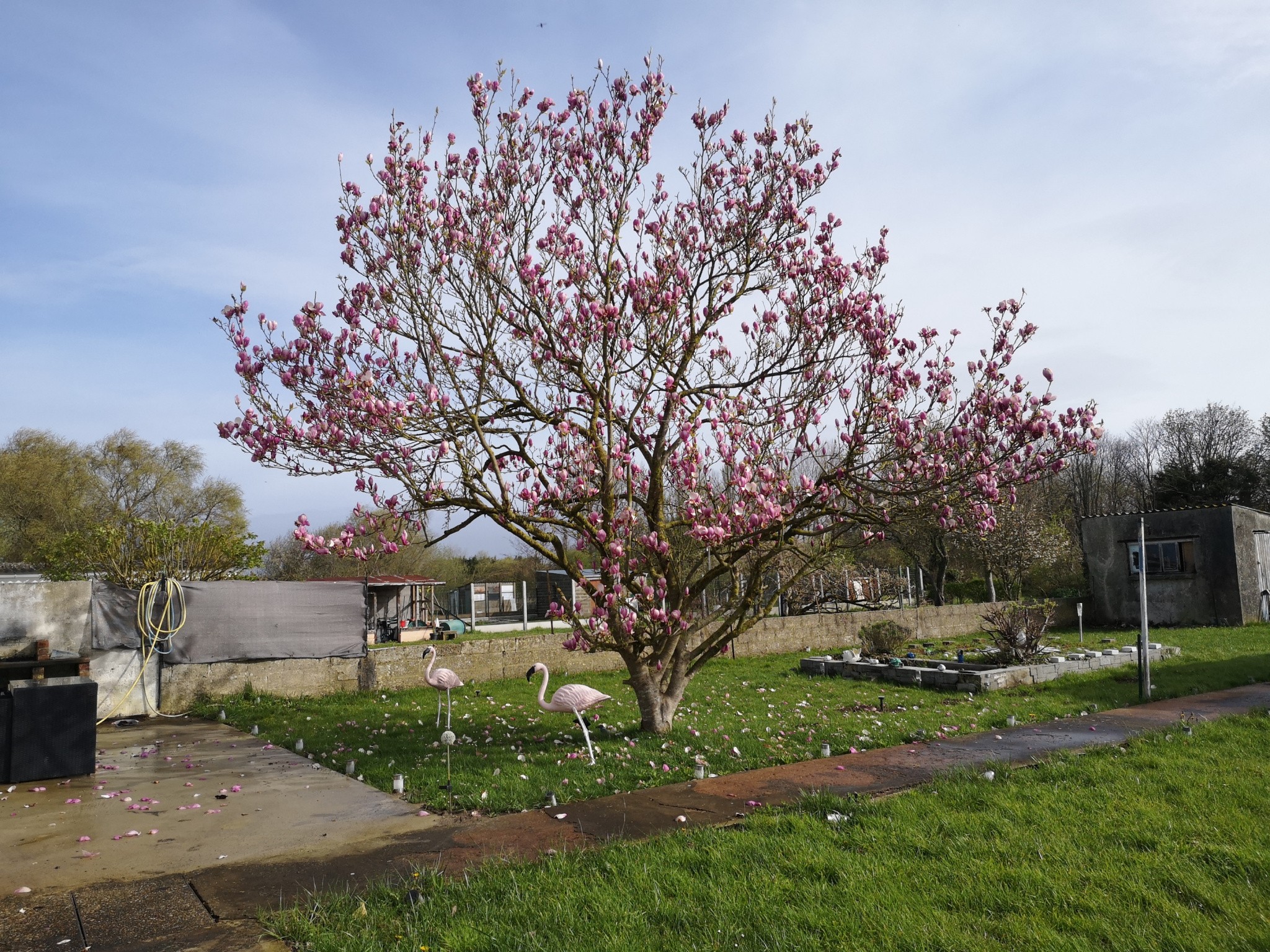 Vente Maison à Rang-du-Fliers 8 pièces