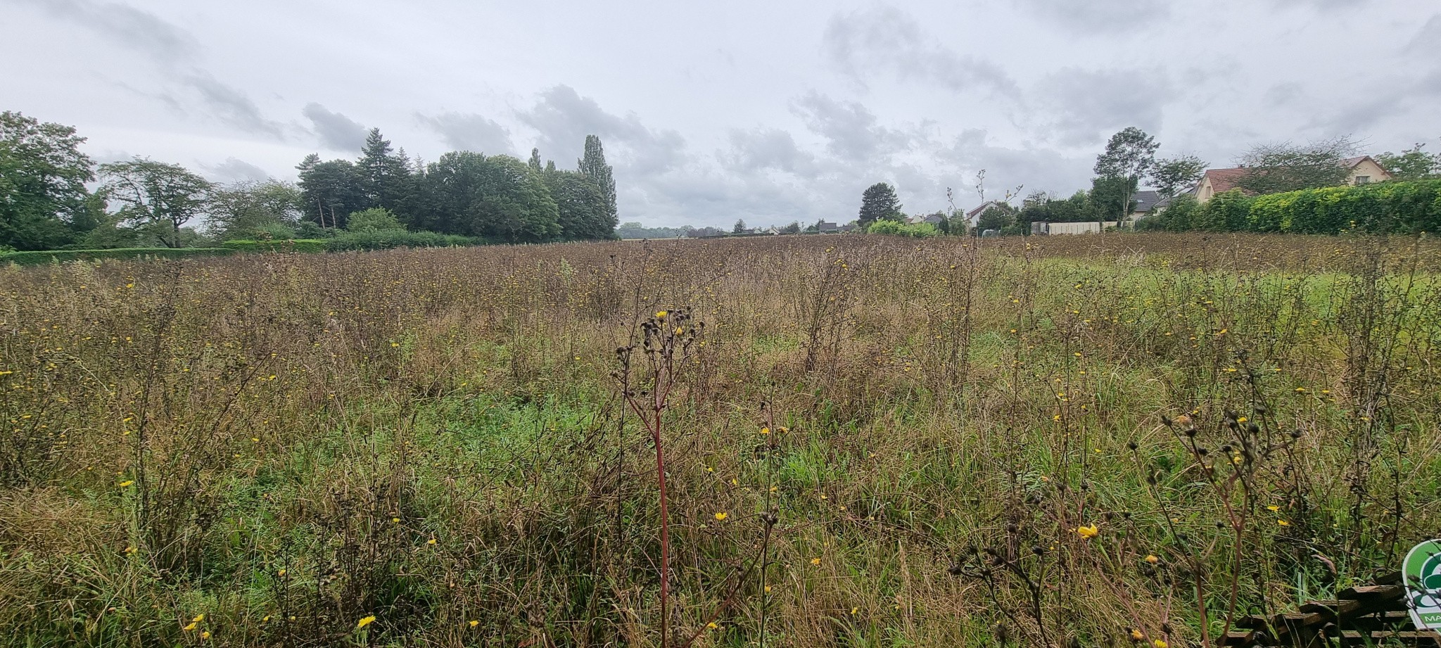 Vente Terrain à Courlon-sur-Yonne 0 pièce