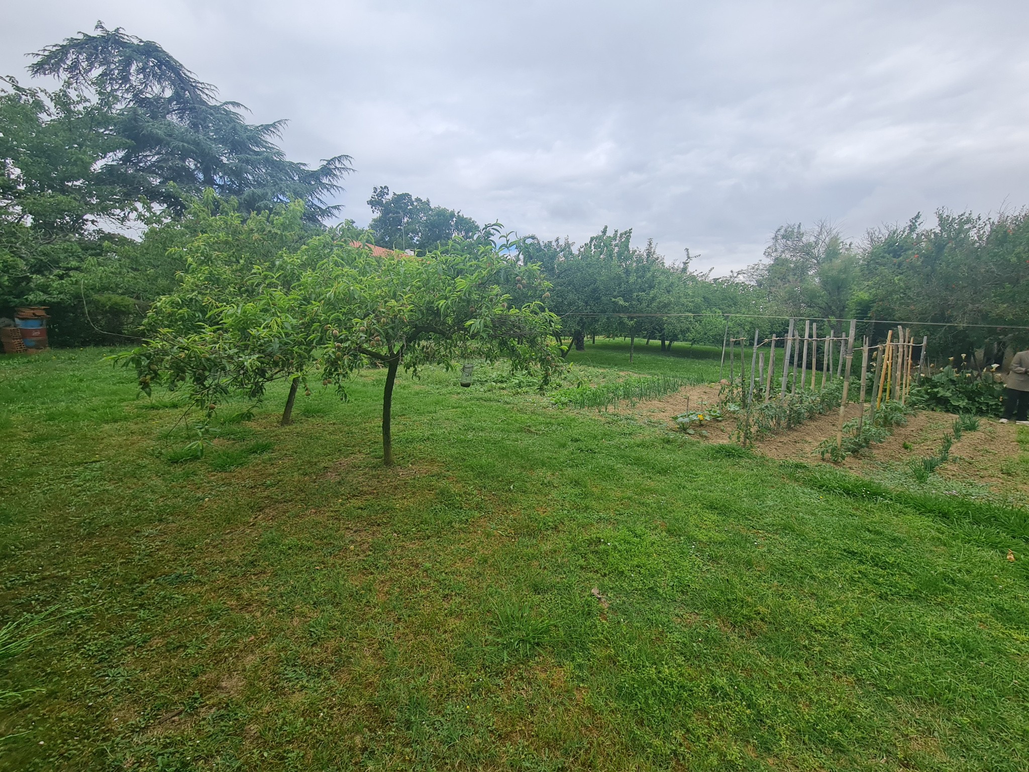 Vente Terrain à Lézat-sur-Lèze 0 pièce