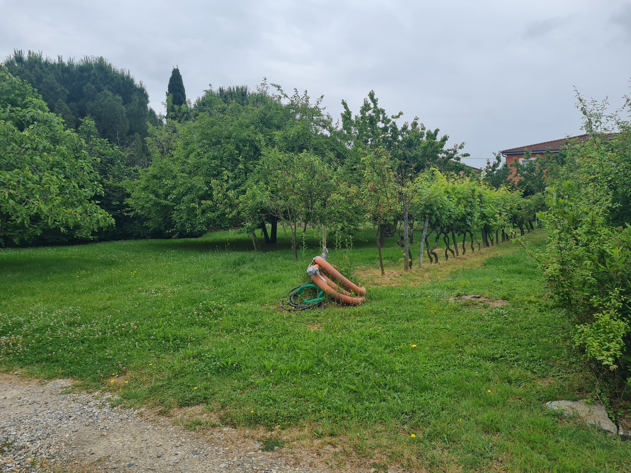 Vente Terrain à Lézat-sur-Lèze 0 pièce