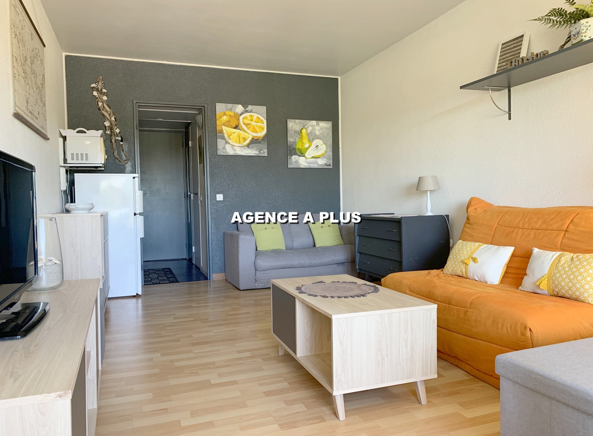 Vente Appartement à le Grau-du-Roi 1 pièce