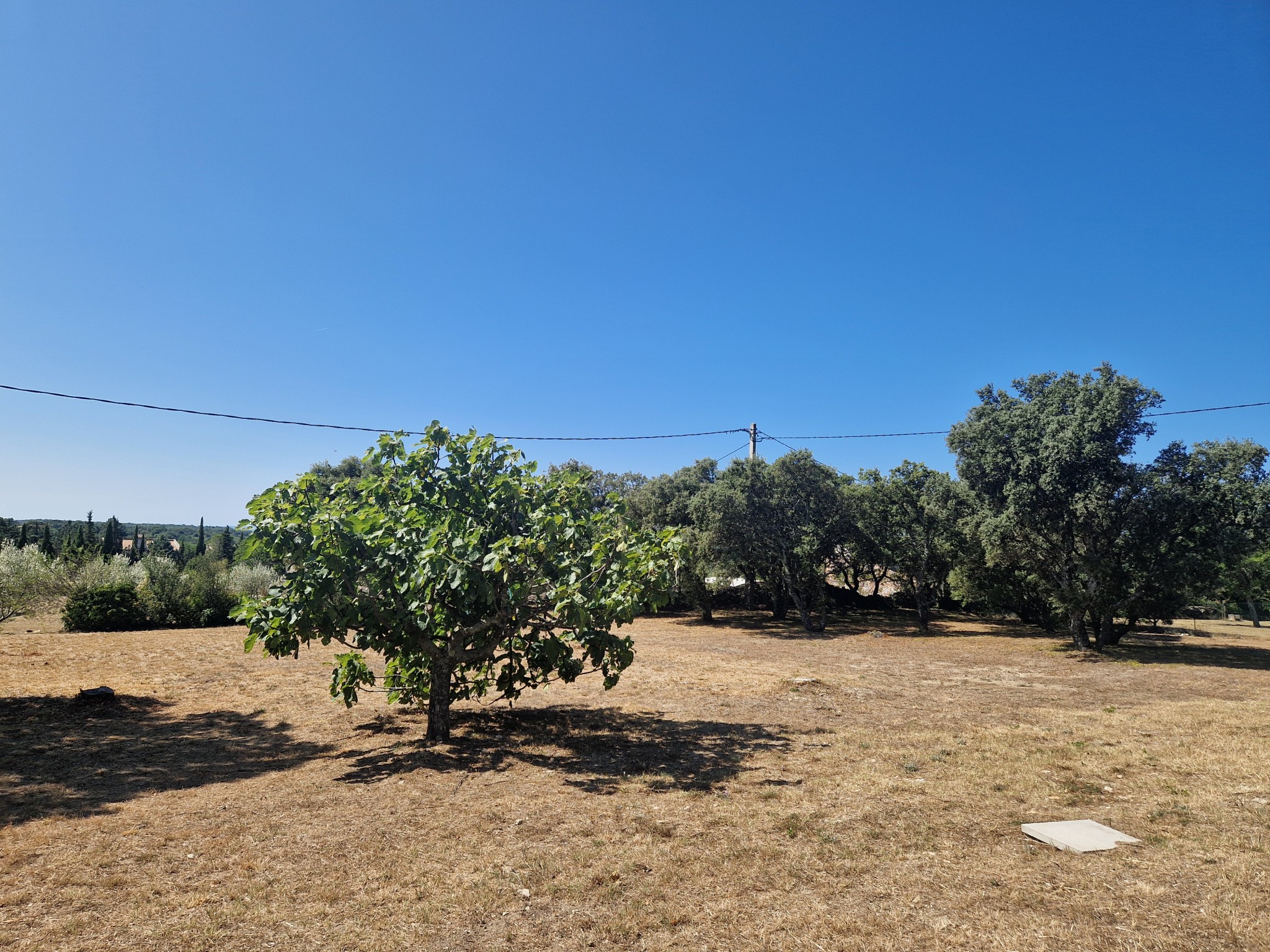 Vente Terrain à Grignan 0 pièce