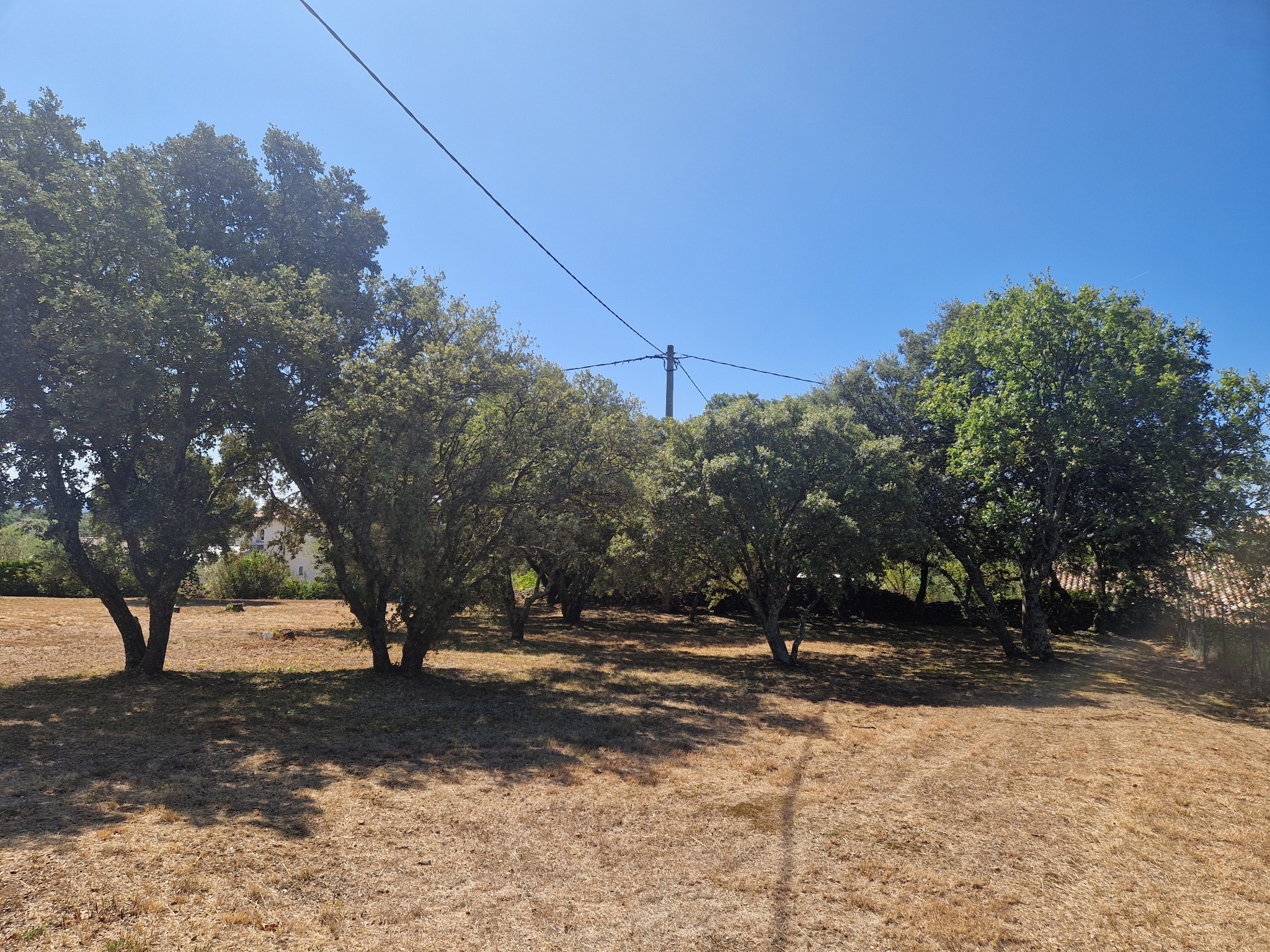 Vente Terrain à Grignan 0 pièce