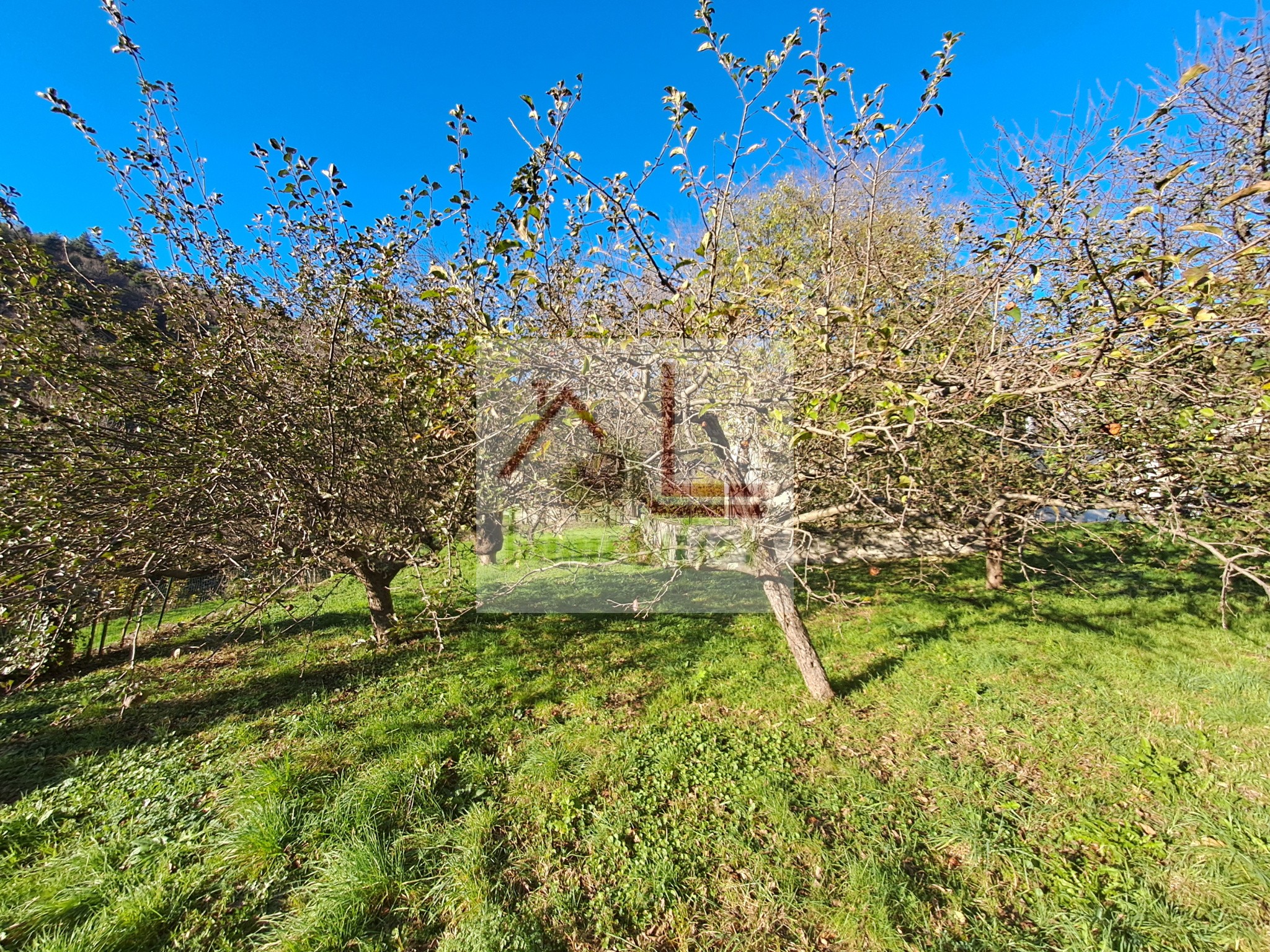 Location Maison à Saint-André-Capcèze 4 pièces