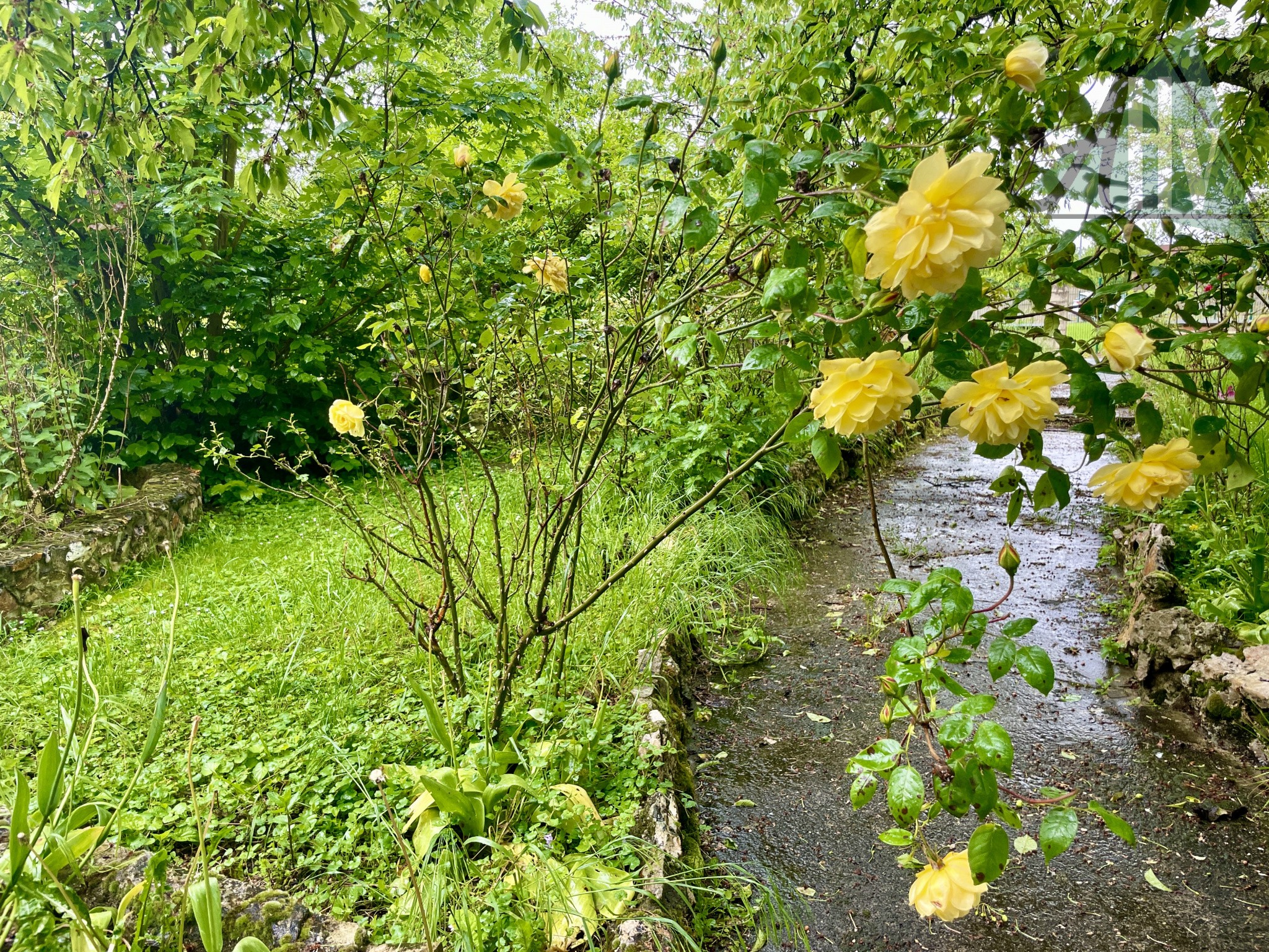 Vente Maison à Romilly-sur-Seine 3 pièces