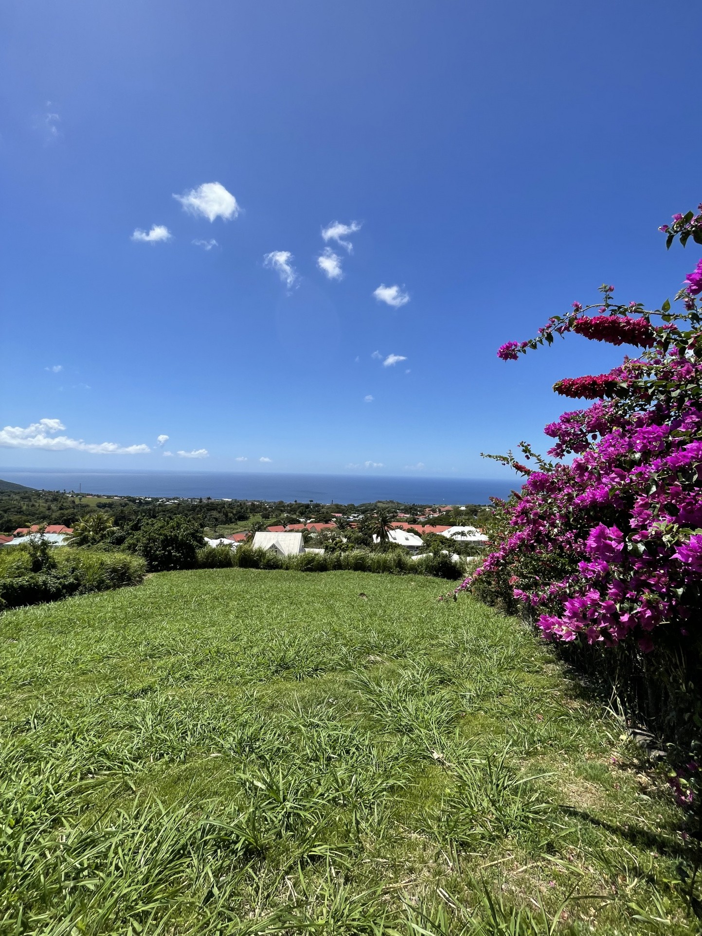 Vente Terrain à Saint-Claude 0 pièce