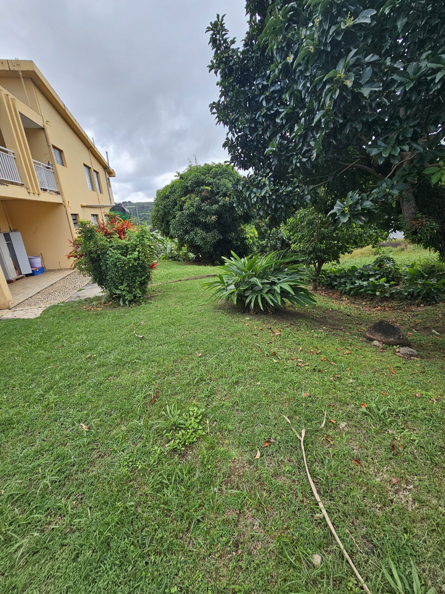 Vente Maison à le Marigot 7 pièces