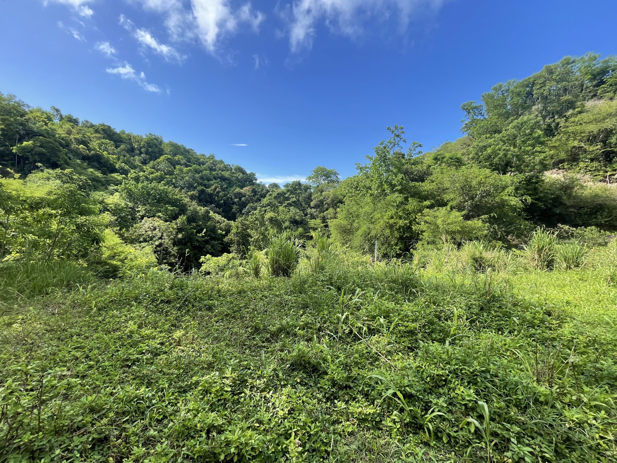 Vente Terrain à le Gosier 0 pièce