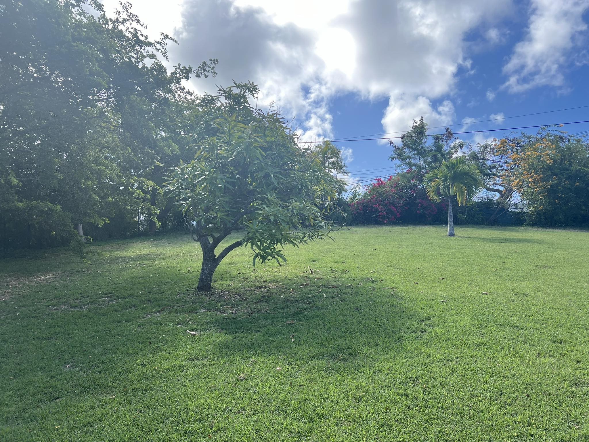 Vente Terrain à Saint-François 0 pièce