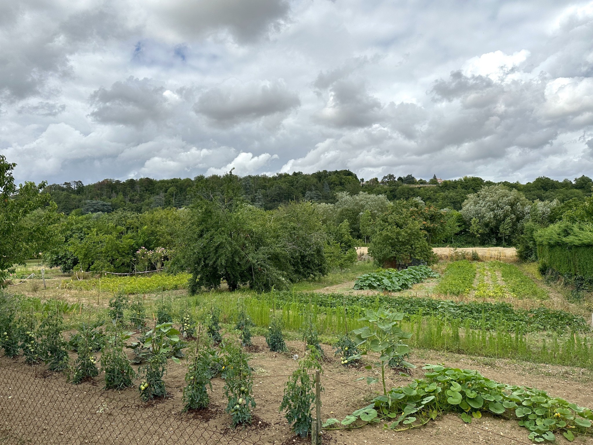 Vente Terrain à Chauvigny 0 pièce