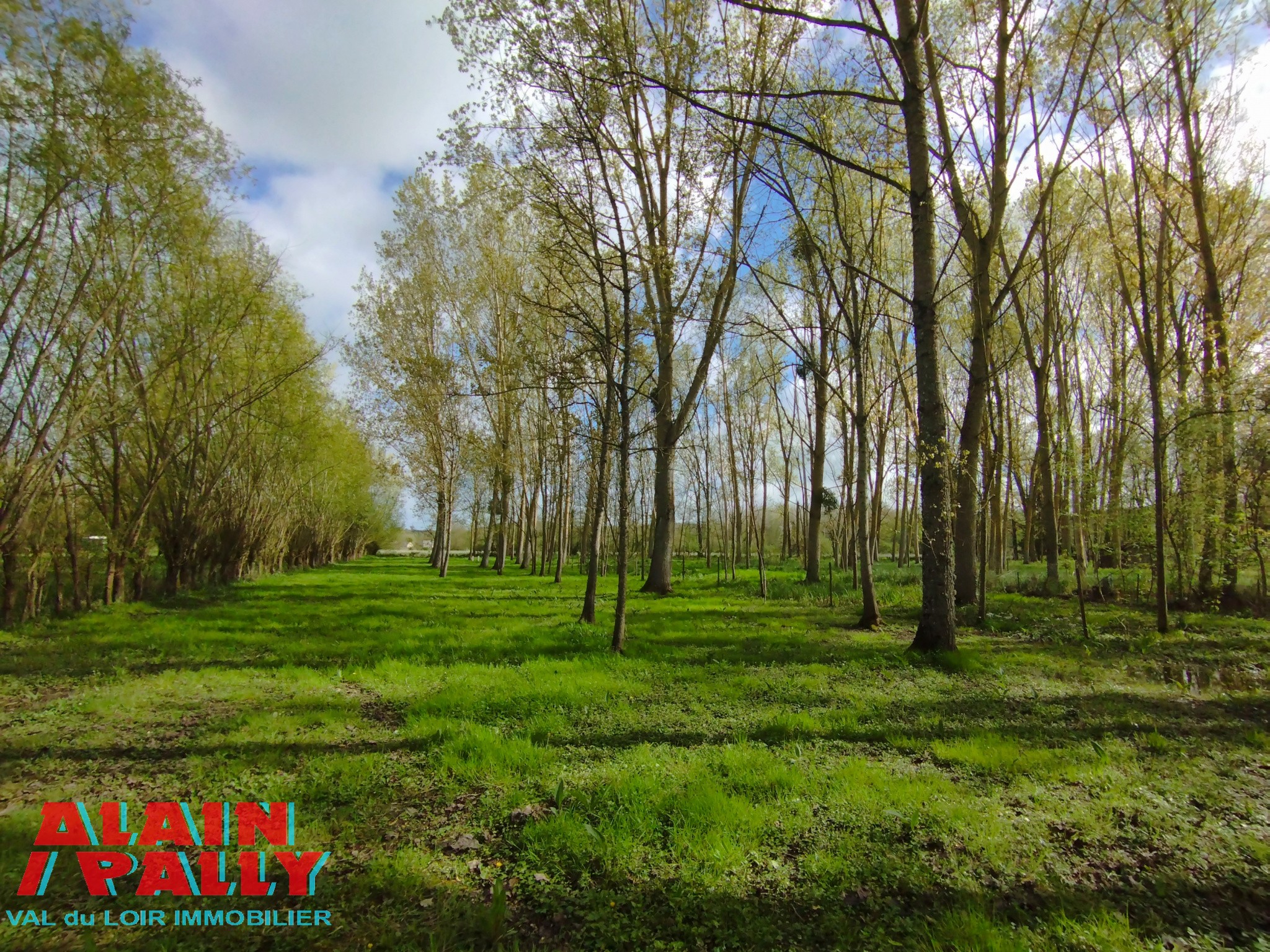 Vente Terrain à Châteaudun 0 pièce