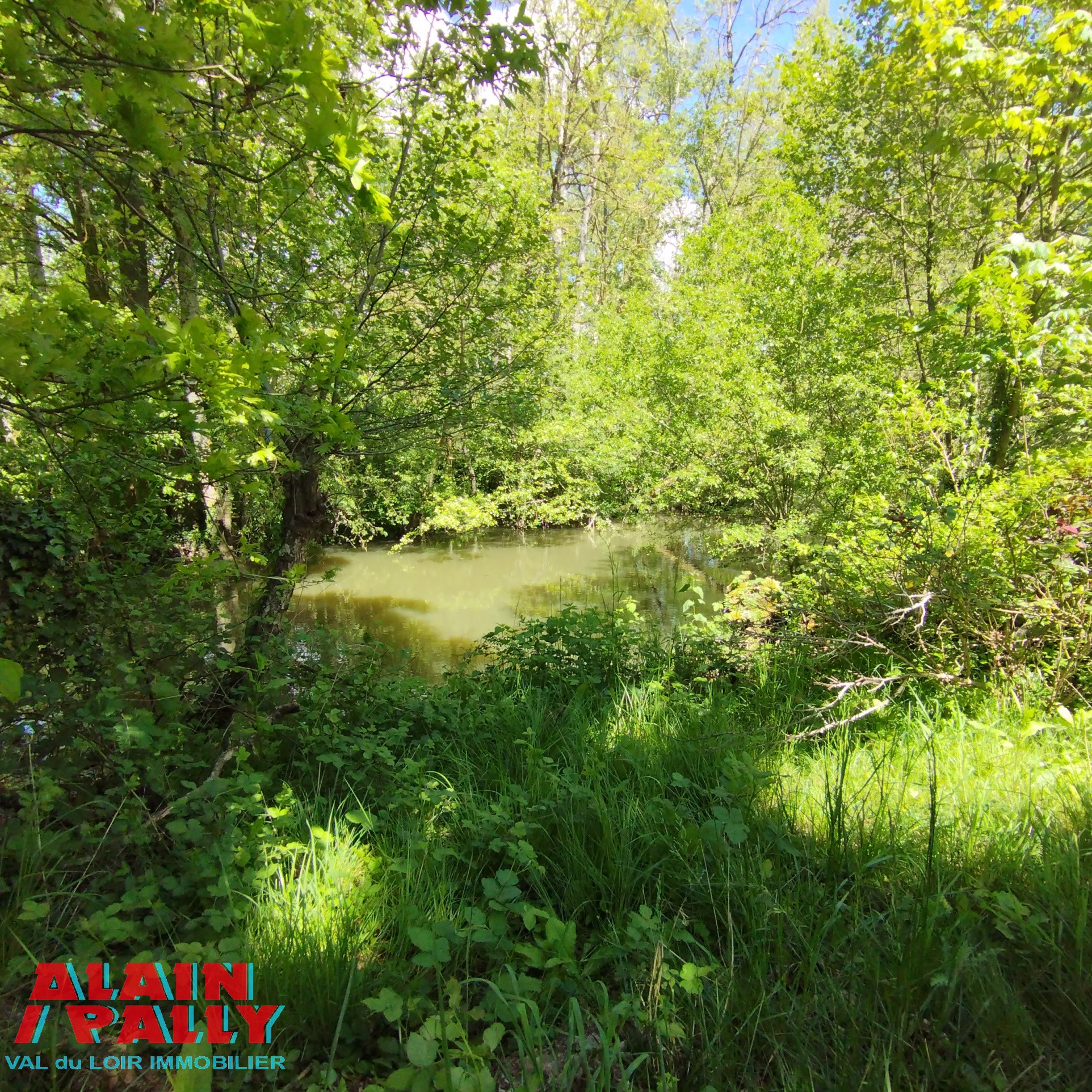 Vente Terrain à Bonneval 0 pièce