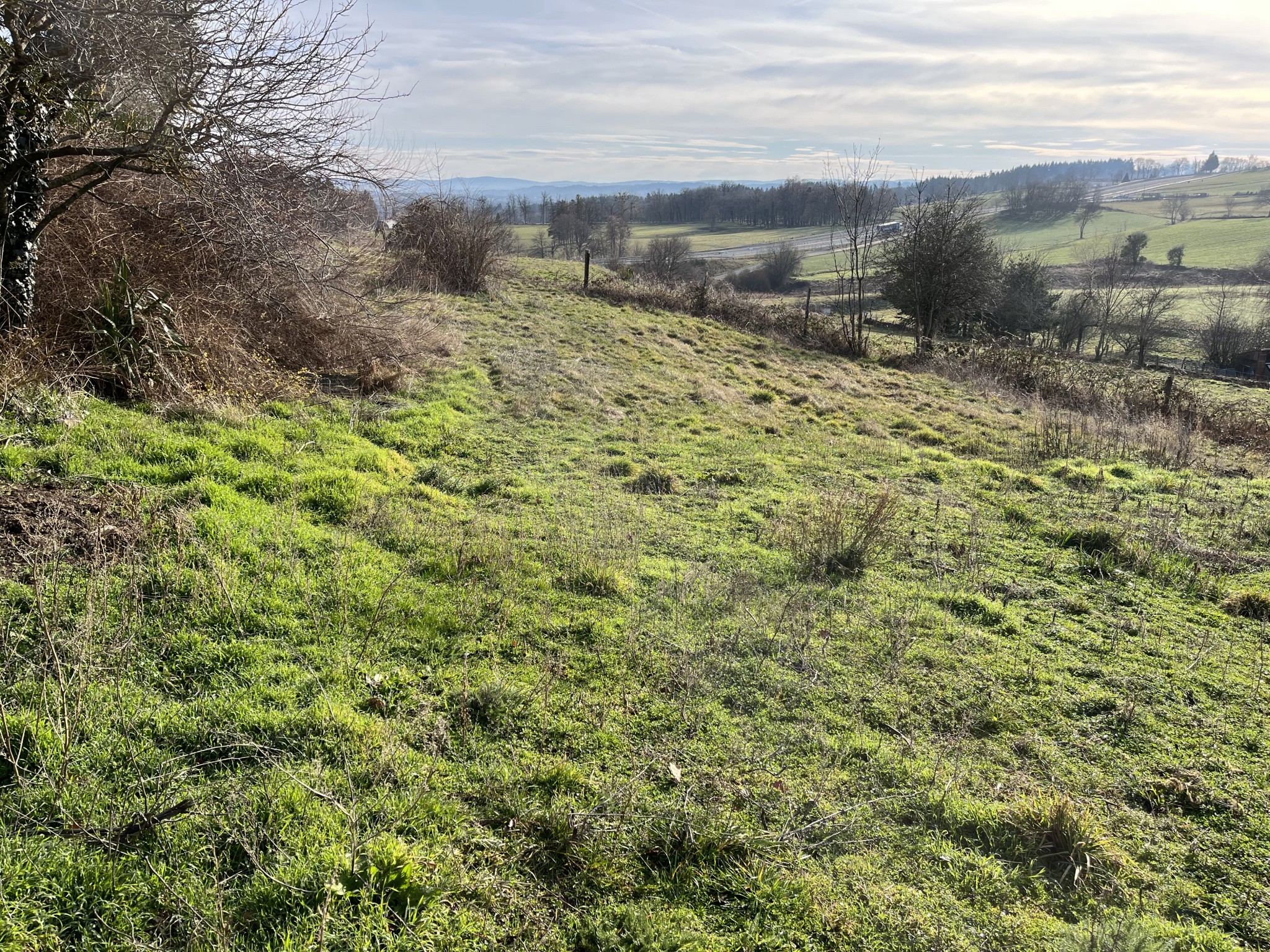 Vente Terrain à Saint-Maurice-de-Lignon 0 pièce