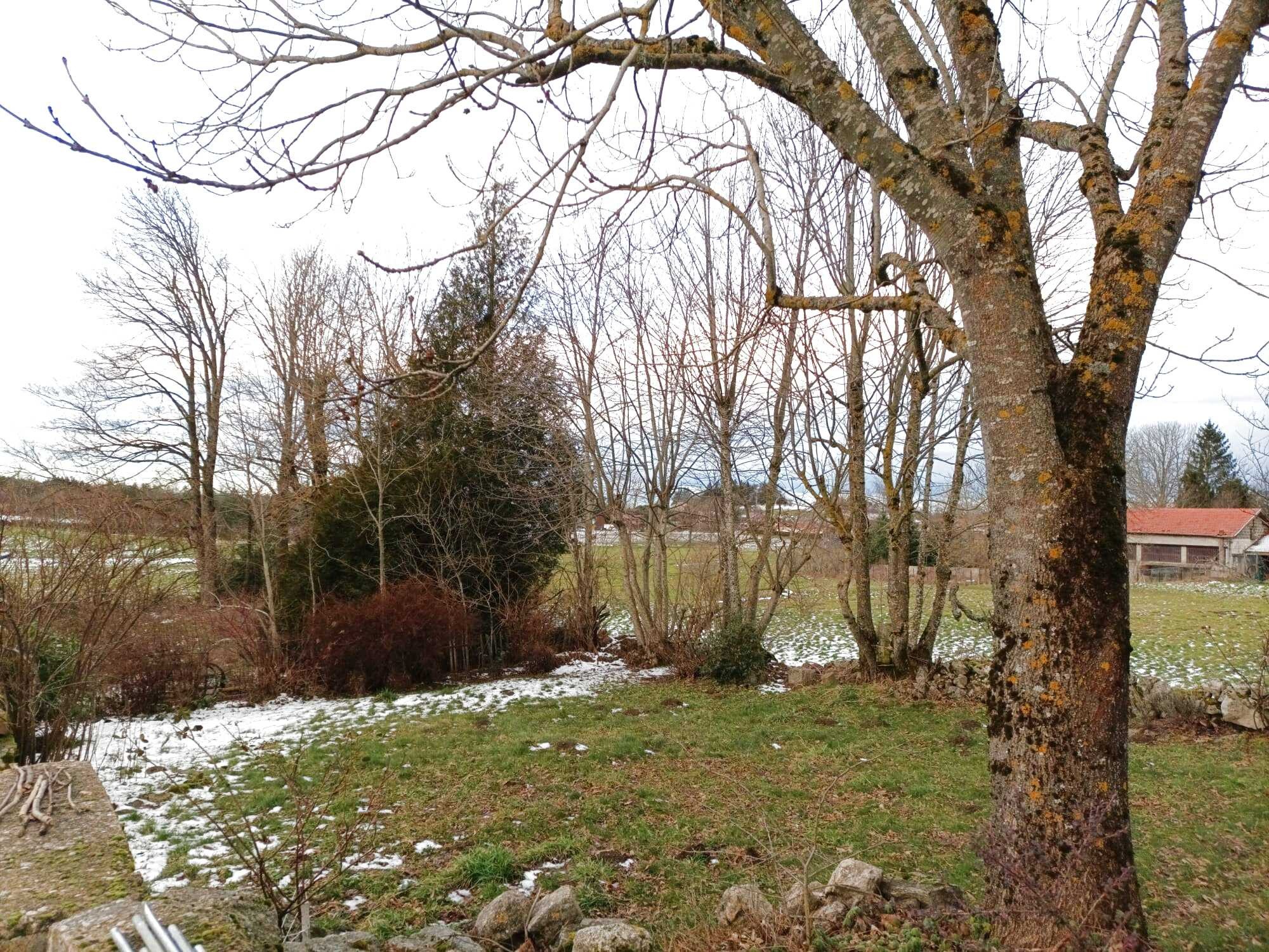 Vente Maison à Saint-Romain-Lachalm 5 pièces