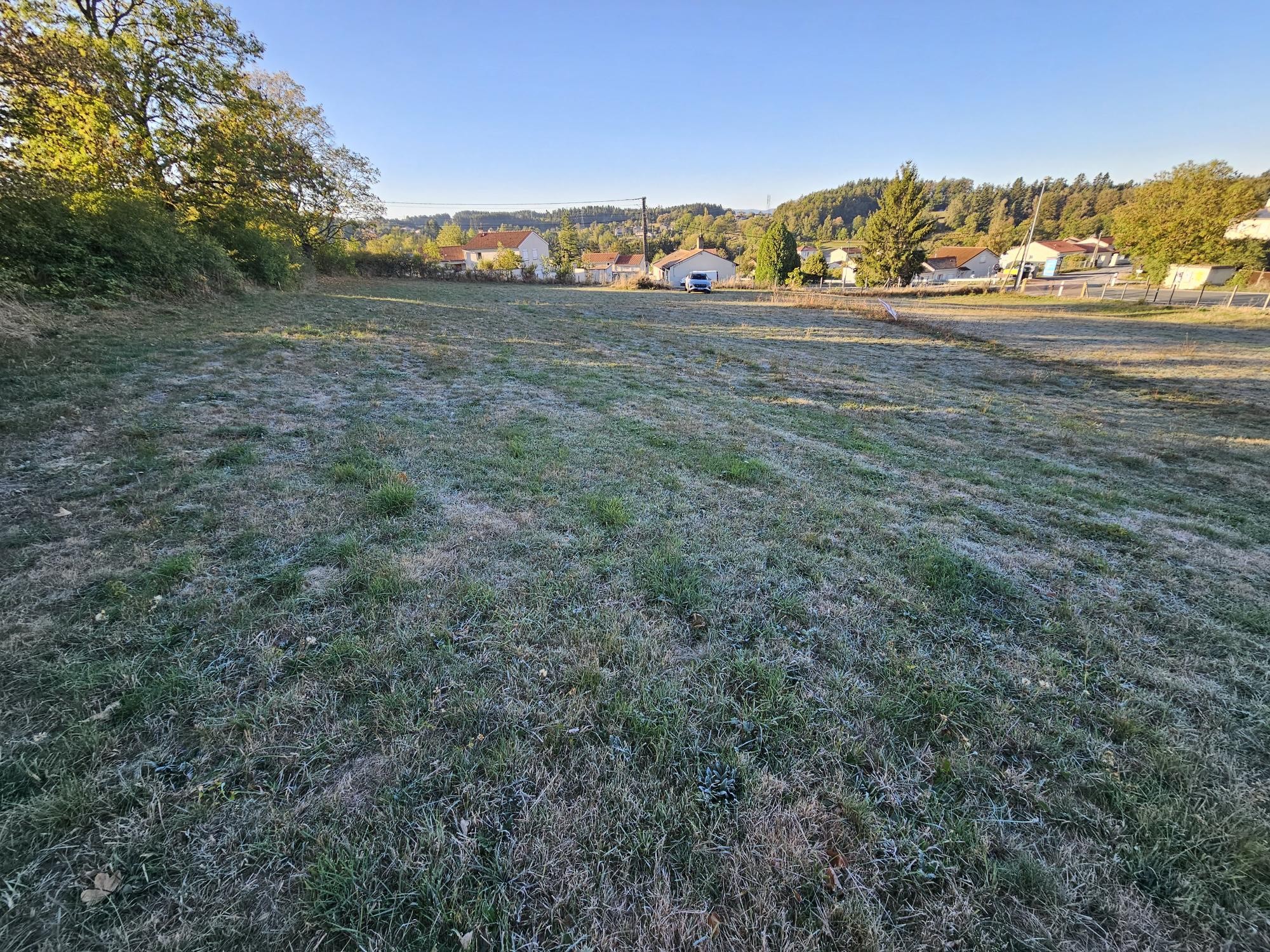 Vente Terrain à Sainte-Sigolène 0 pièce