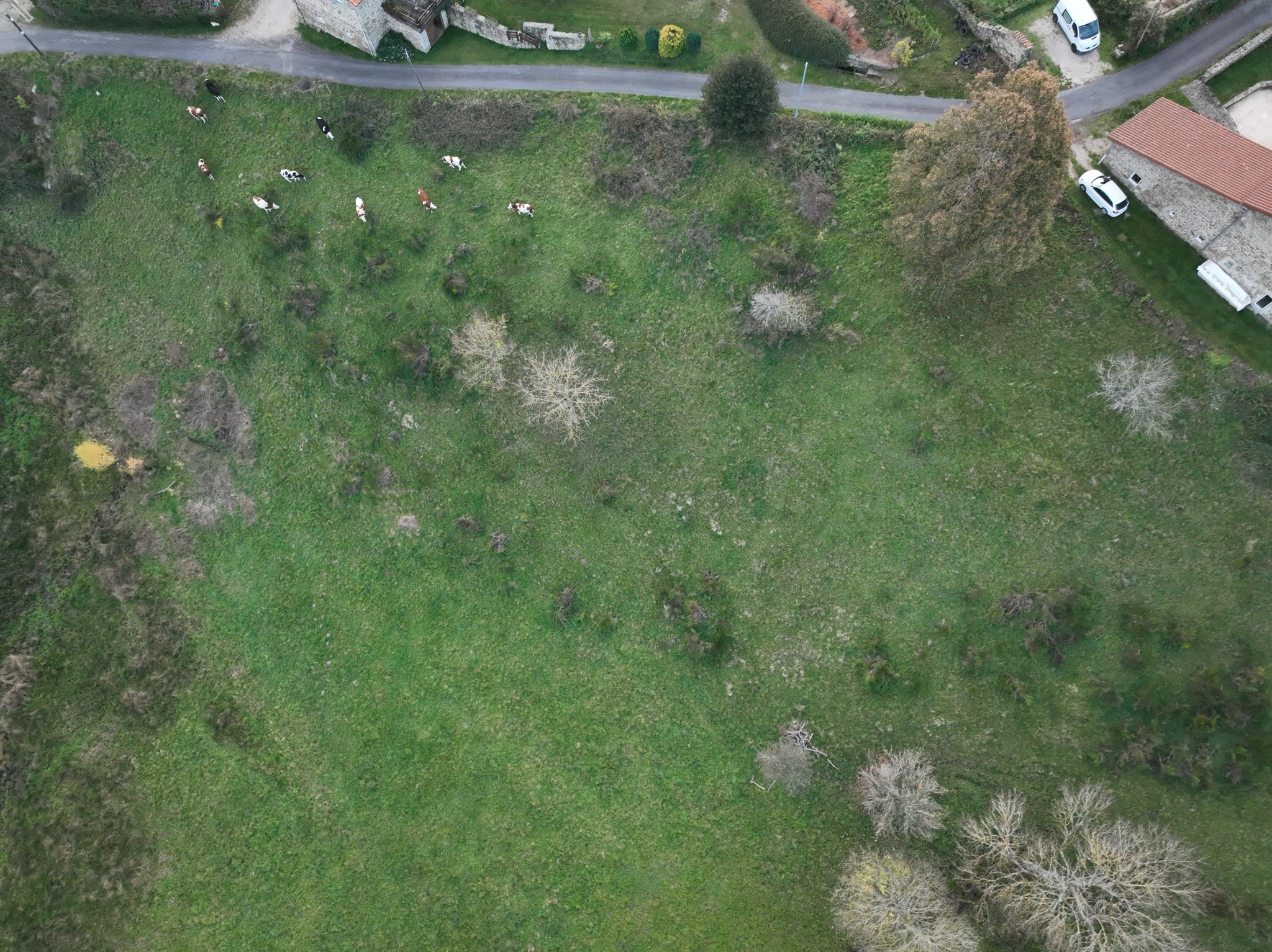 Vente Terrain à Lapte 0 pièce