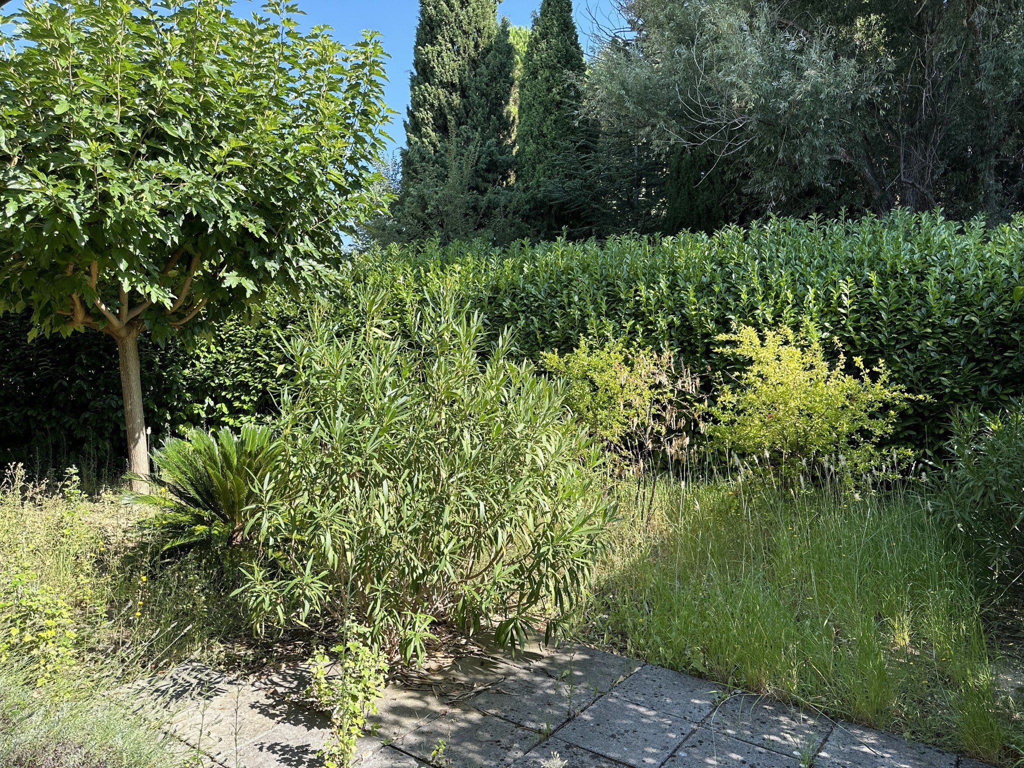 Vente Maison à Montpellier 5 pièces