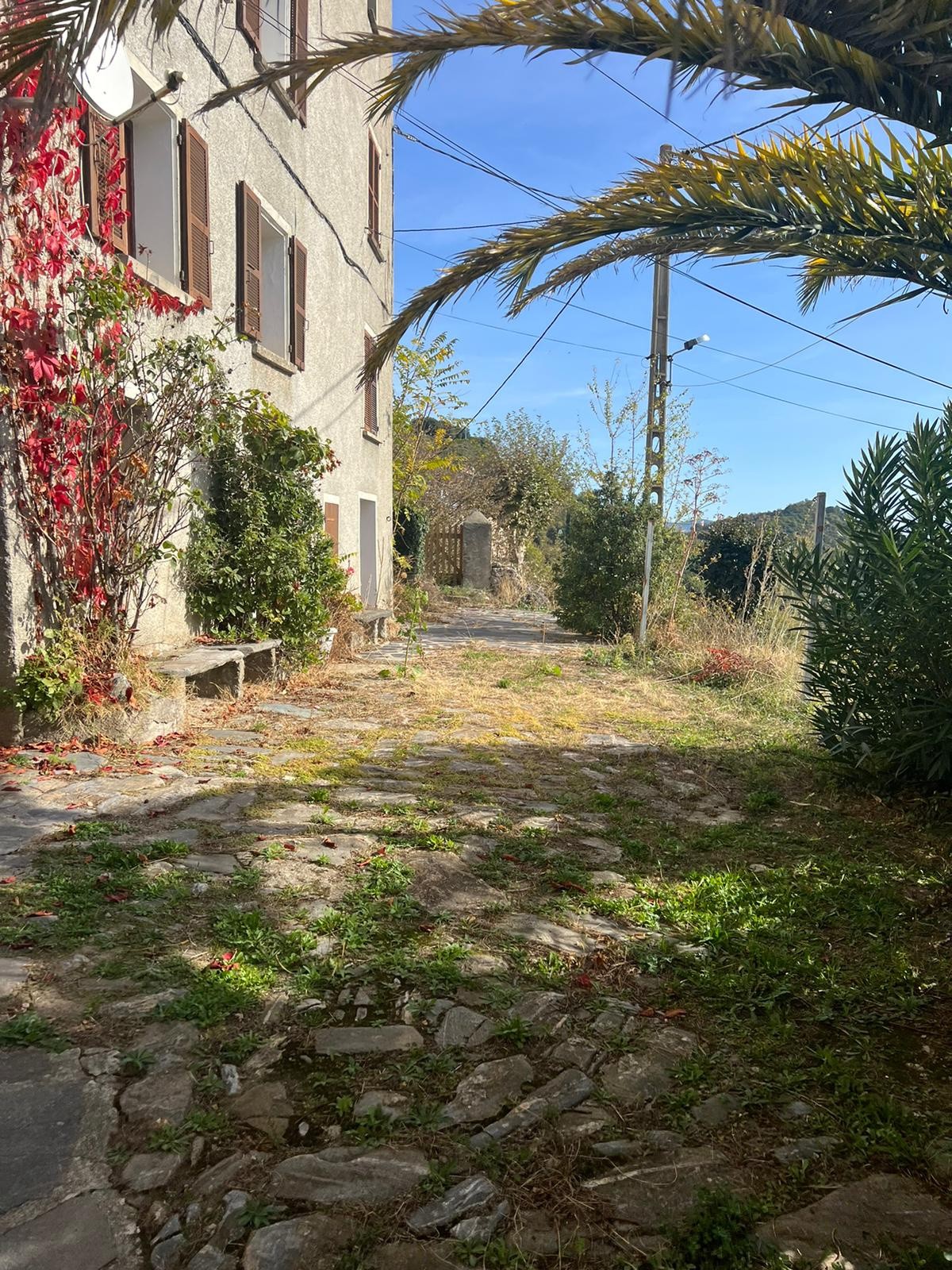 Vente Maison à Piedicorte-di-Gaggio 6 pièces