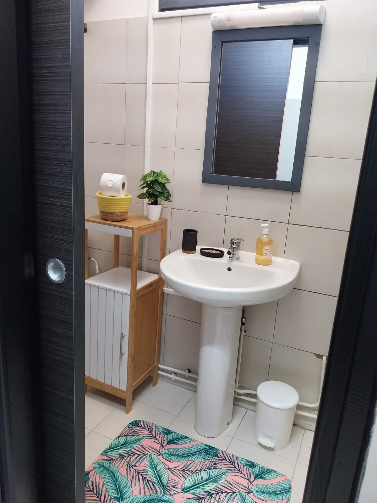 Location Appartement à Cayenne 1 pièce