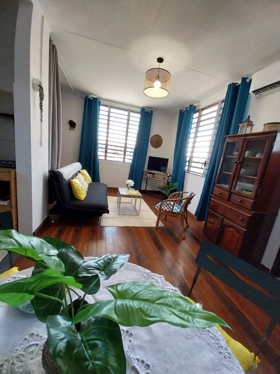 Location Appartement à Cayenne 1 pièce