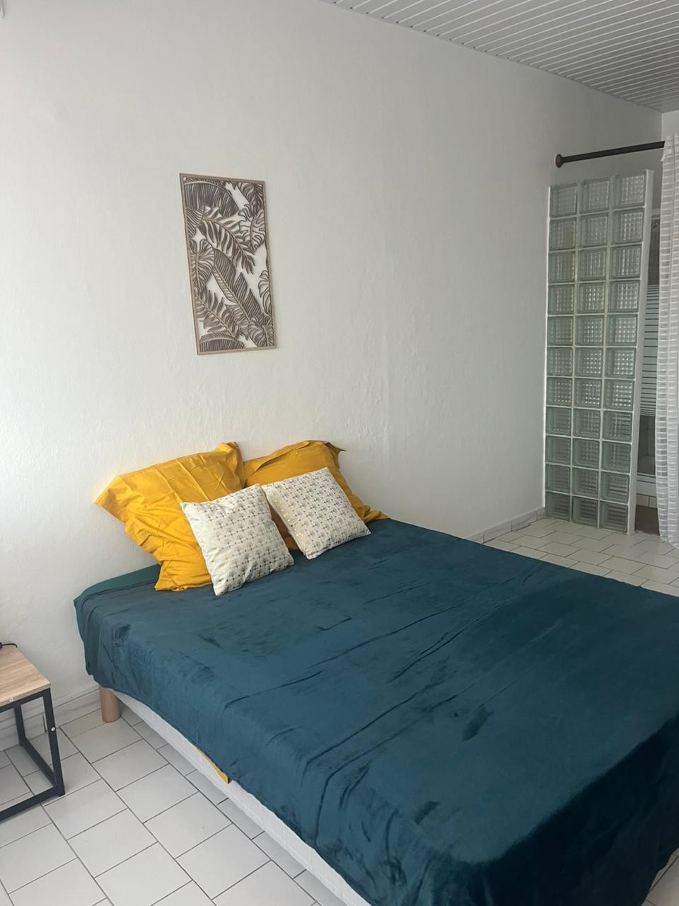 Location Appartement à Cayenne 2 pièces