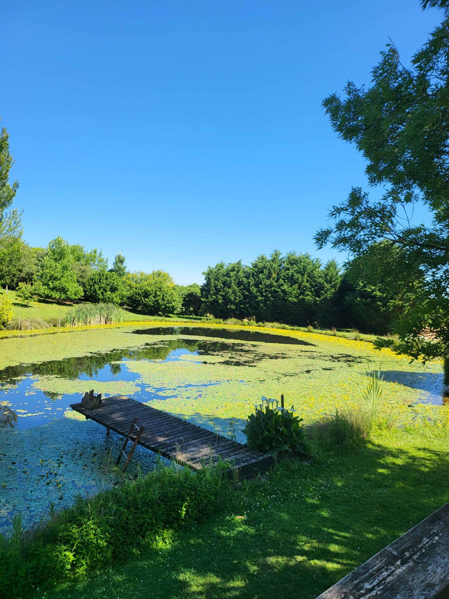 Vente Maison à Monflanquin 6 pièces