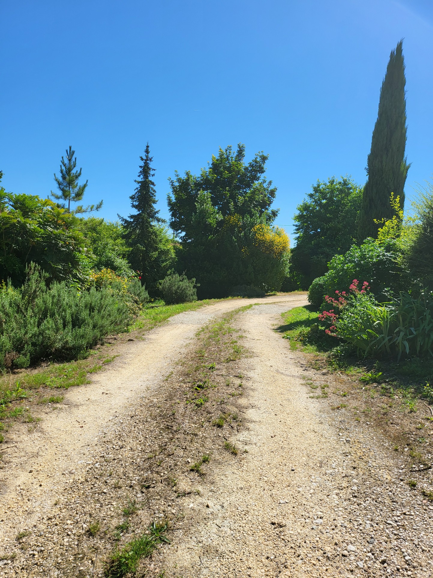 Vente Maison à Monflanquin 6 pièces