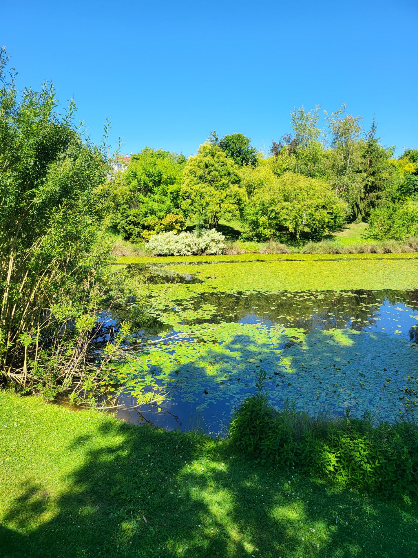 Vente Maison à Monflanquin 6 pièces