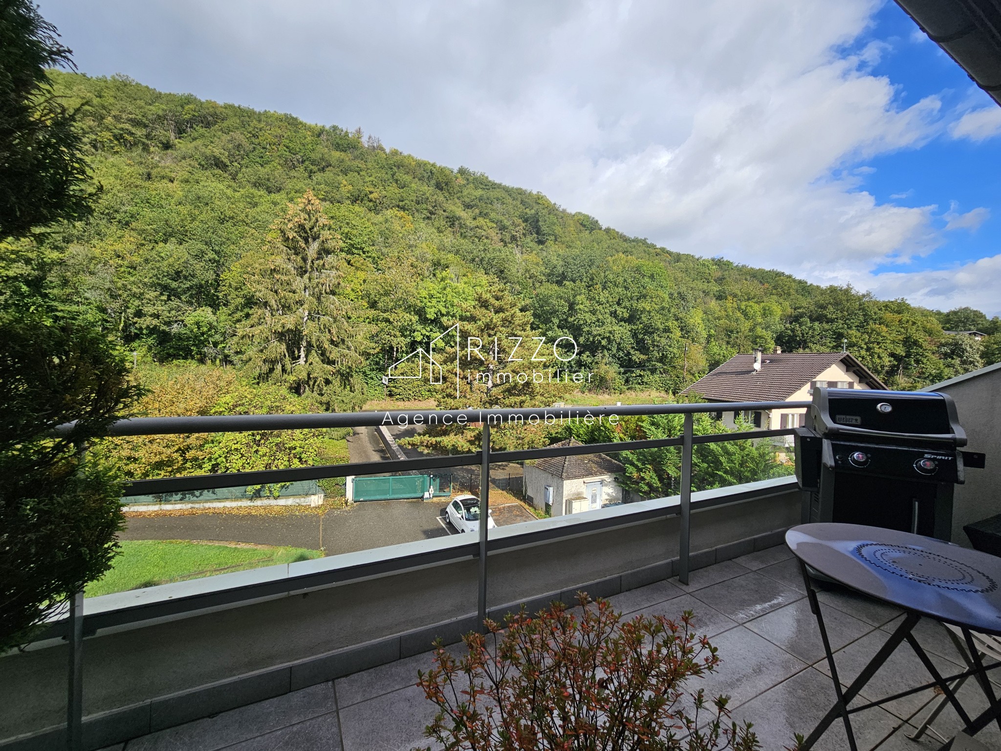 Vente Appartement à Divonne-les-Bains 8 pièces