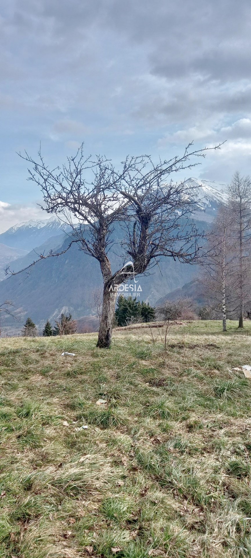 Vente Terrain à Jarrier 0 pièce