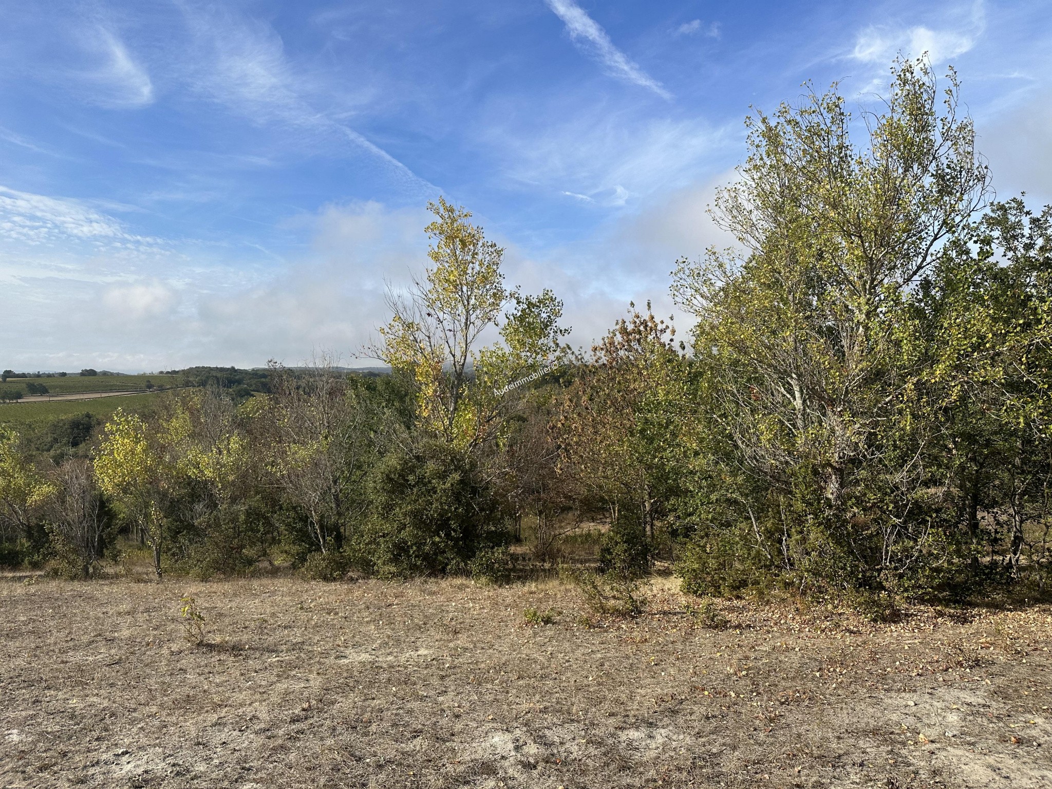 Vente Terrain à Limoux 0 pièce