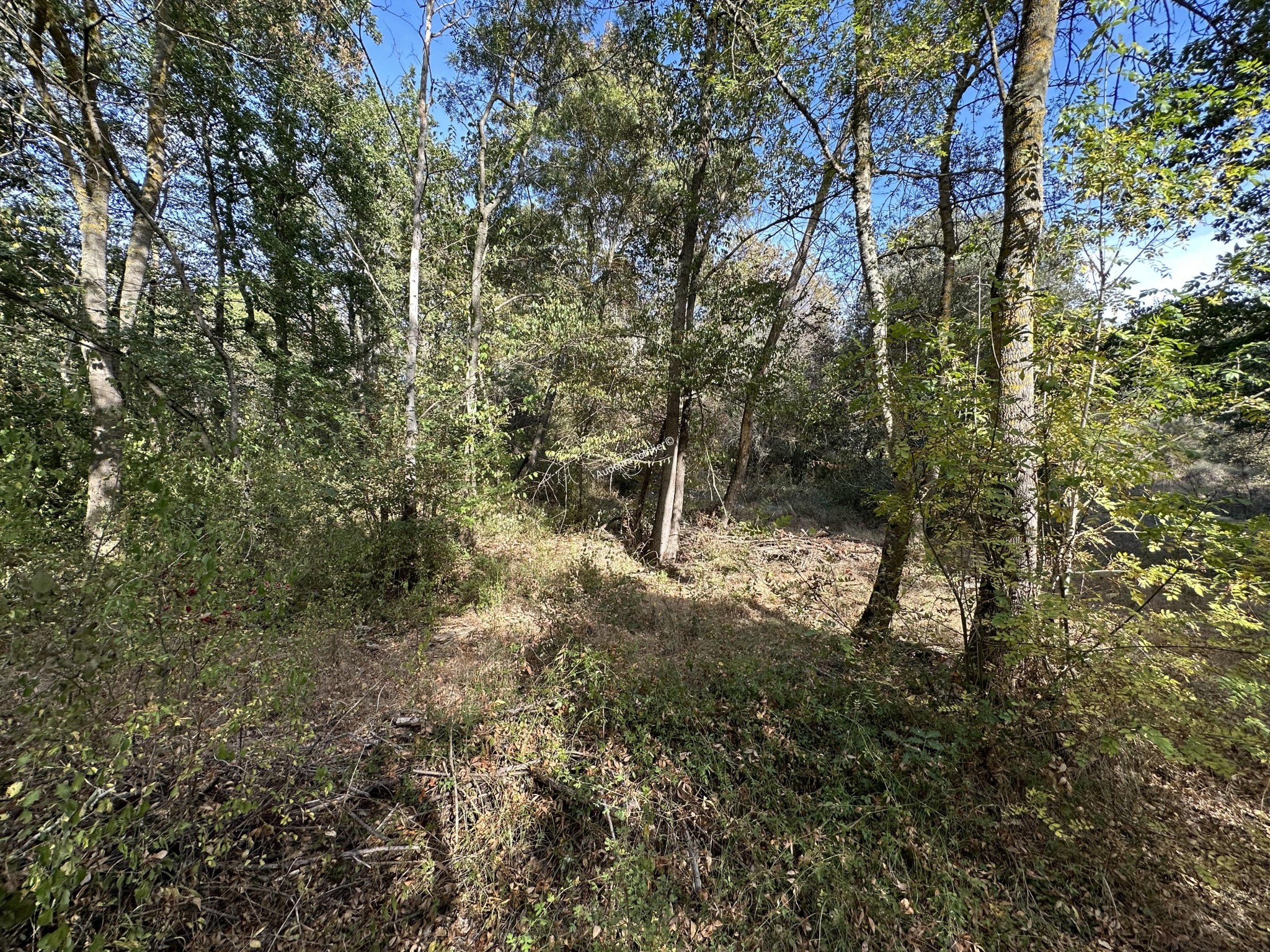 Vente Terrain à Limoux 0 pièce