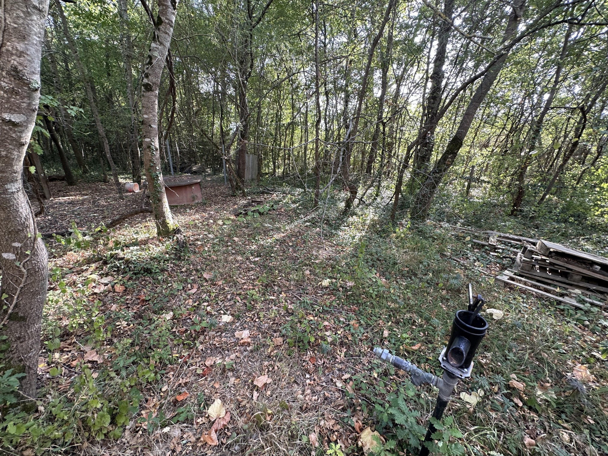 Vente Terrain à Limoux 0 pièce