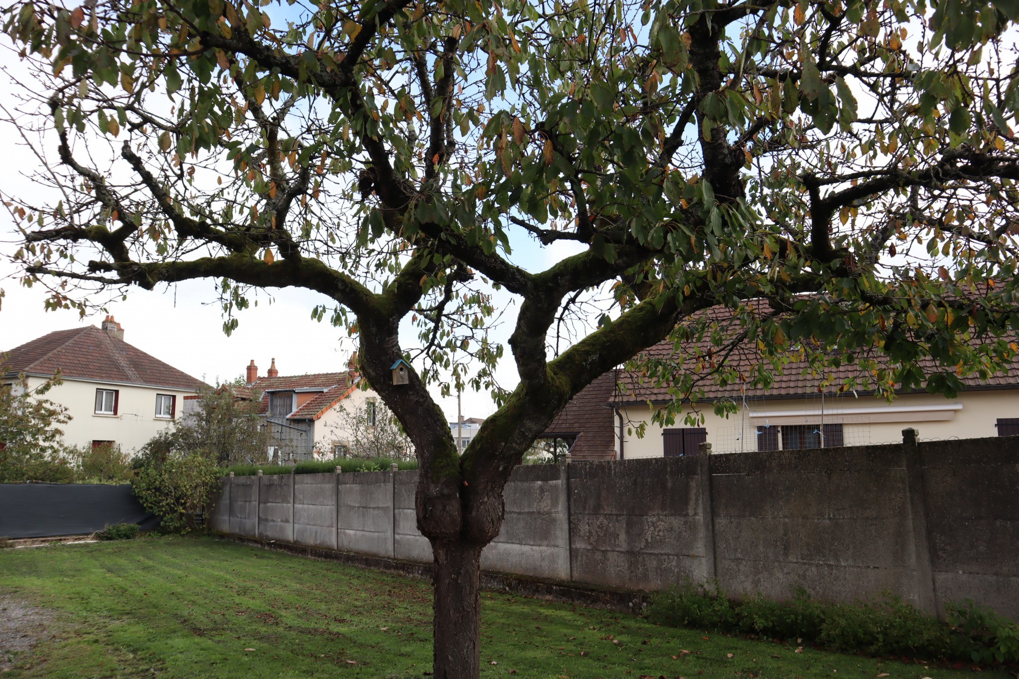 Vente Maison à Autun 5 pièces