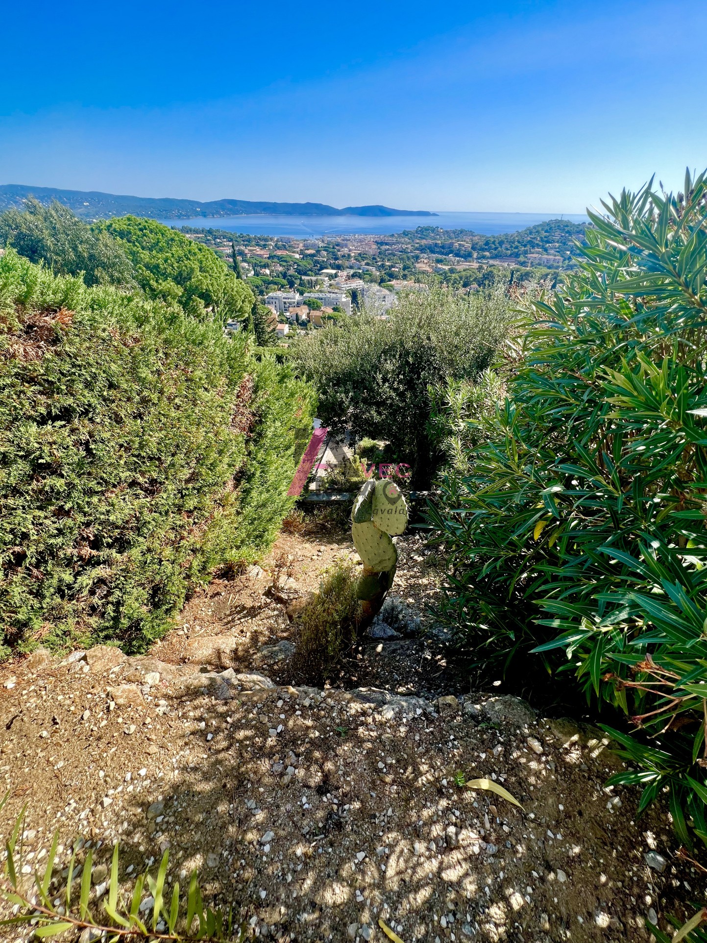 Vente Appartement à Cavalaire-sur-Mer 2 pièces