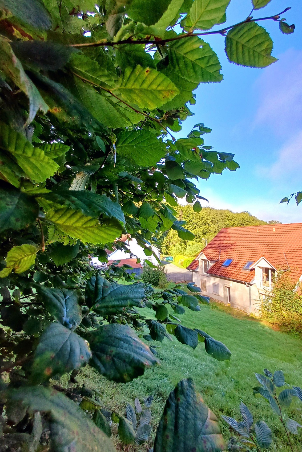 Vente Maison à Évette-Salbert 10 pièces