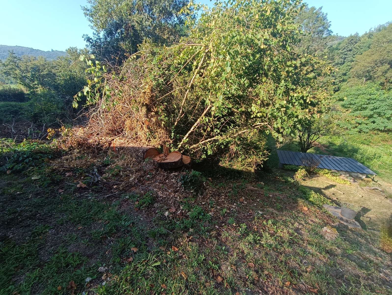 Vente Maison à Forgès 2 pièces