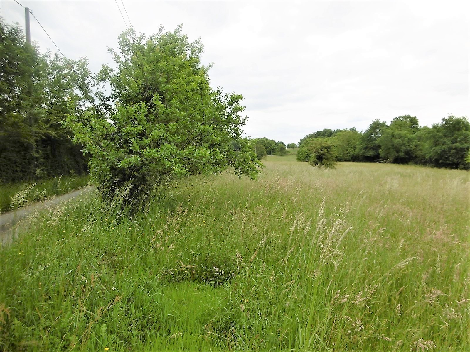 Vente Terrain à Vignols 0 pièce