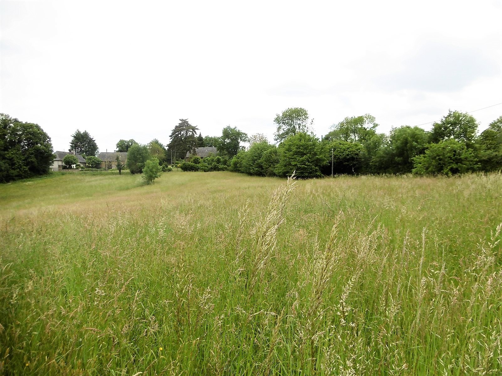 Vente Terrain à Vignols 0 pièce