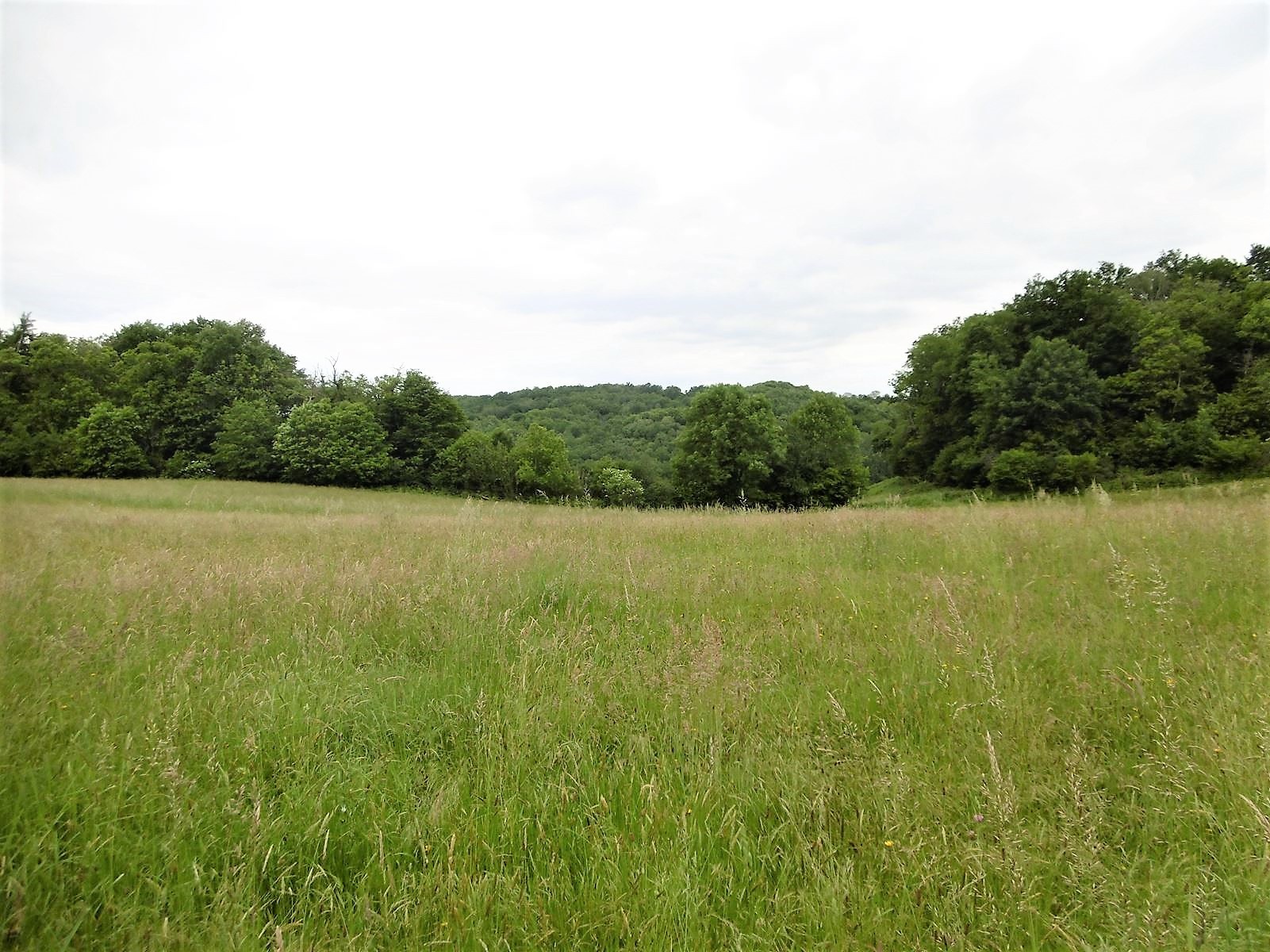 Vente Terrain à Vignols 0 pièce