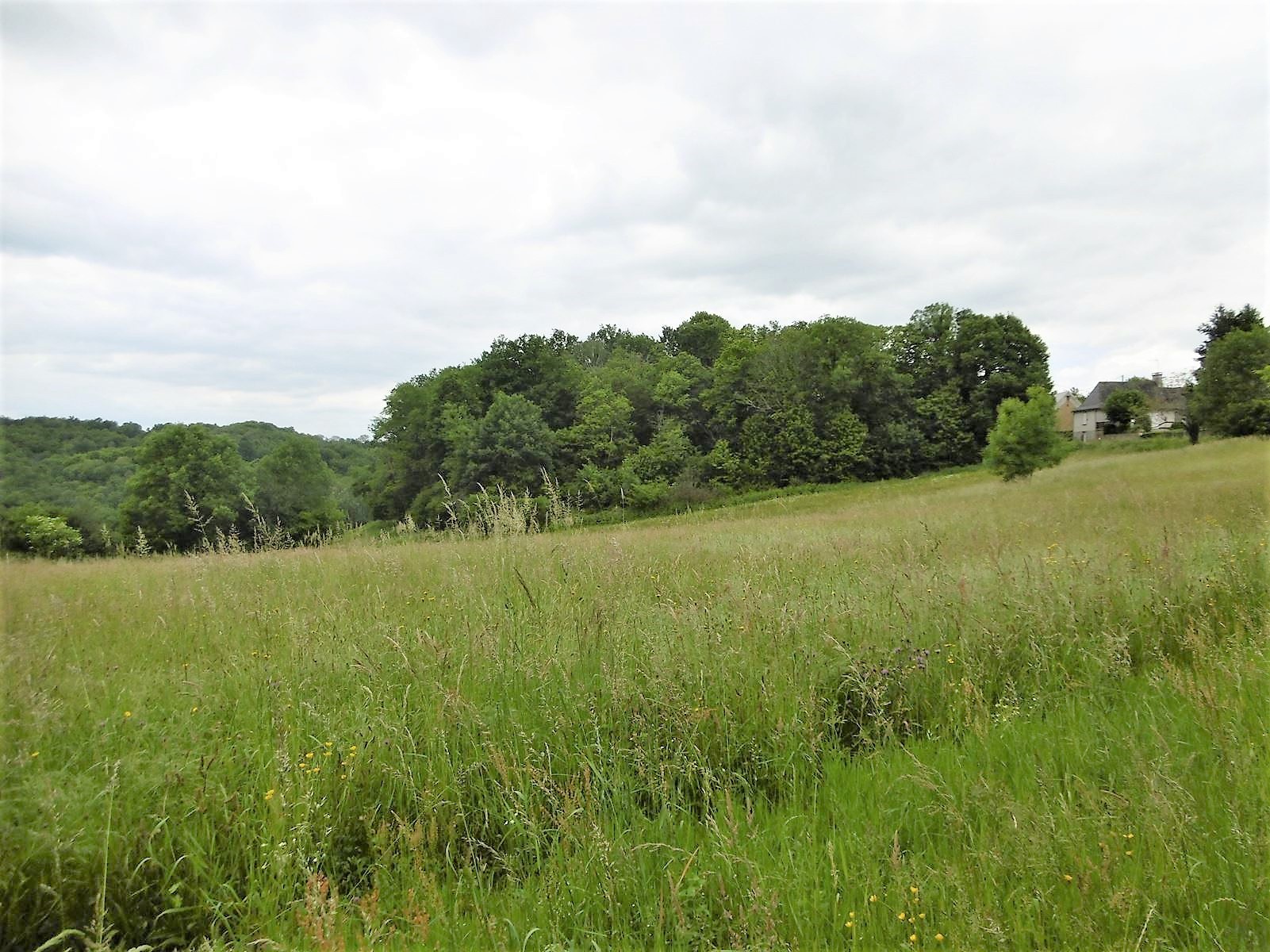 Vente Terrain à Vignols 0 pièce