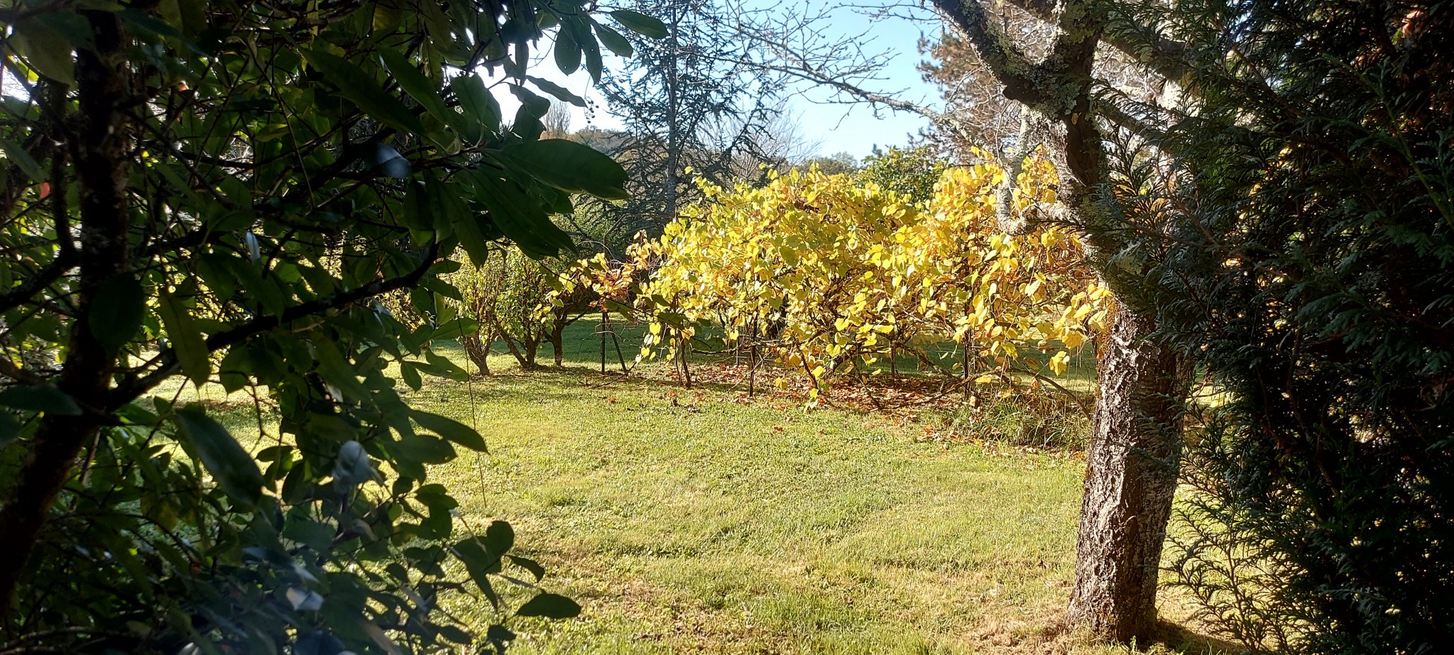 Vente Maison à Brignac-la-Plaine 7 pièces