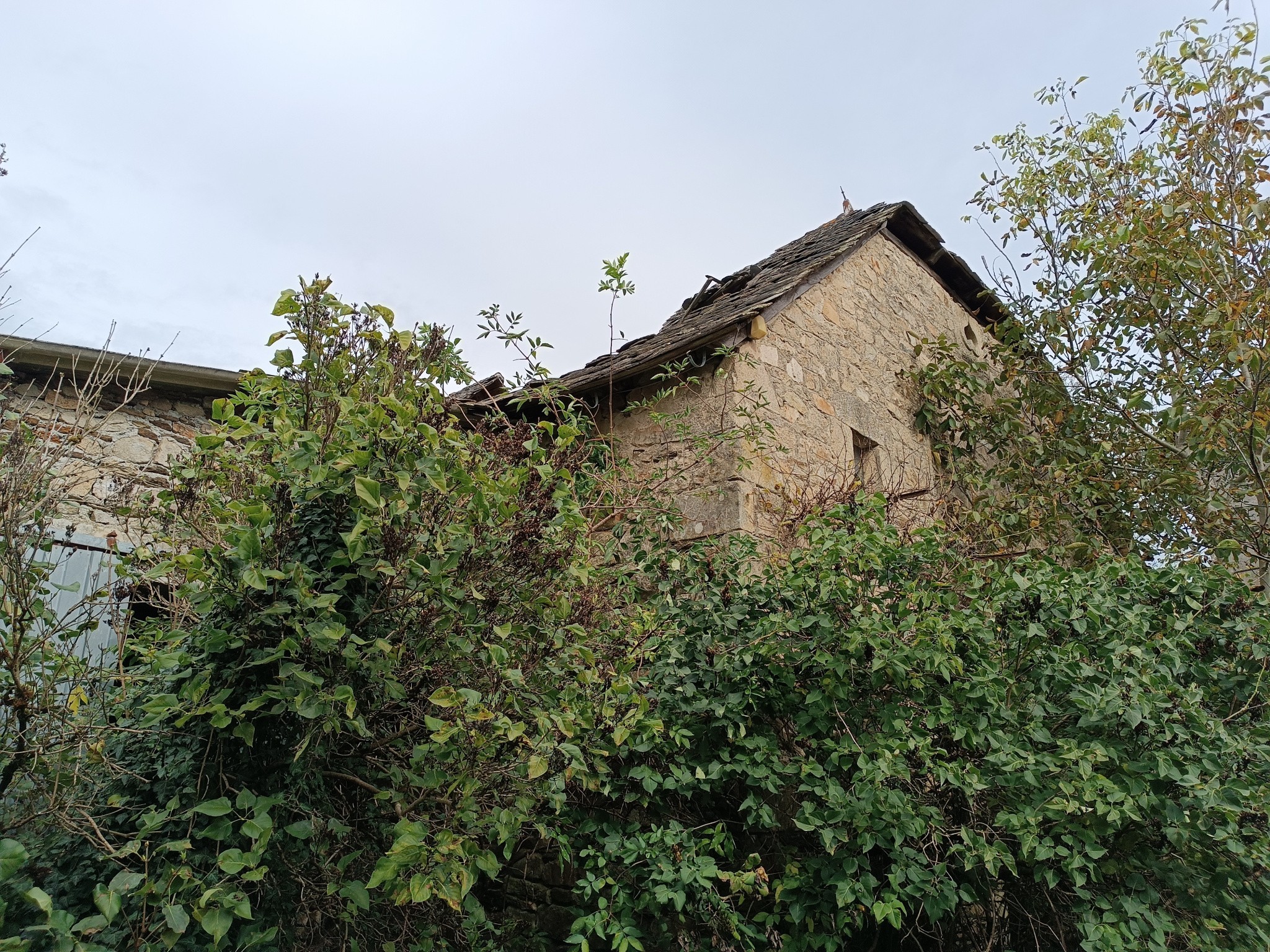 Vente Maison à la Chapelle-Saint-Géraud 1 pièce