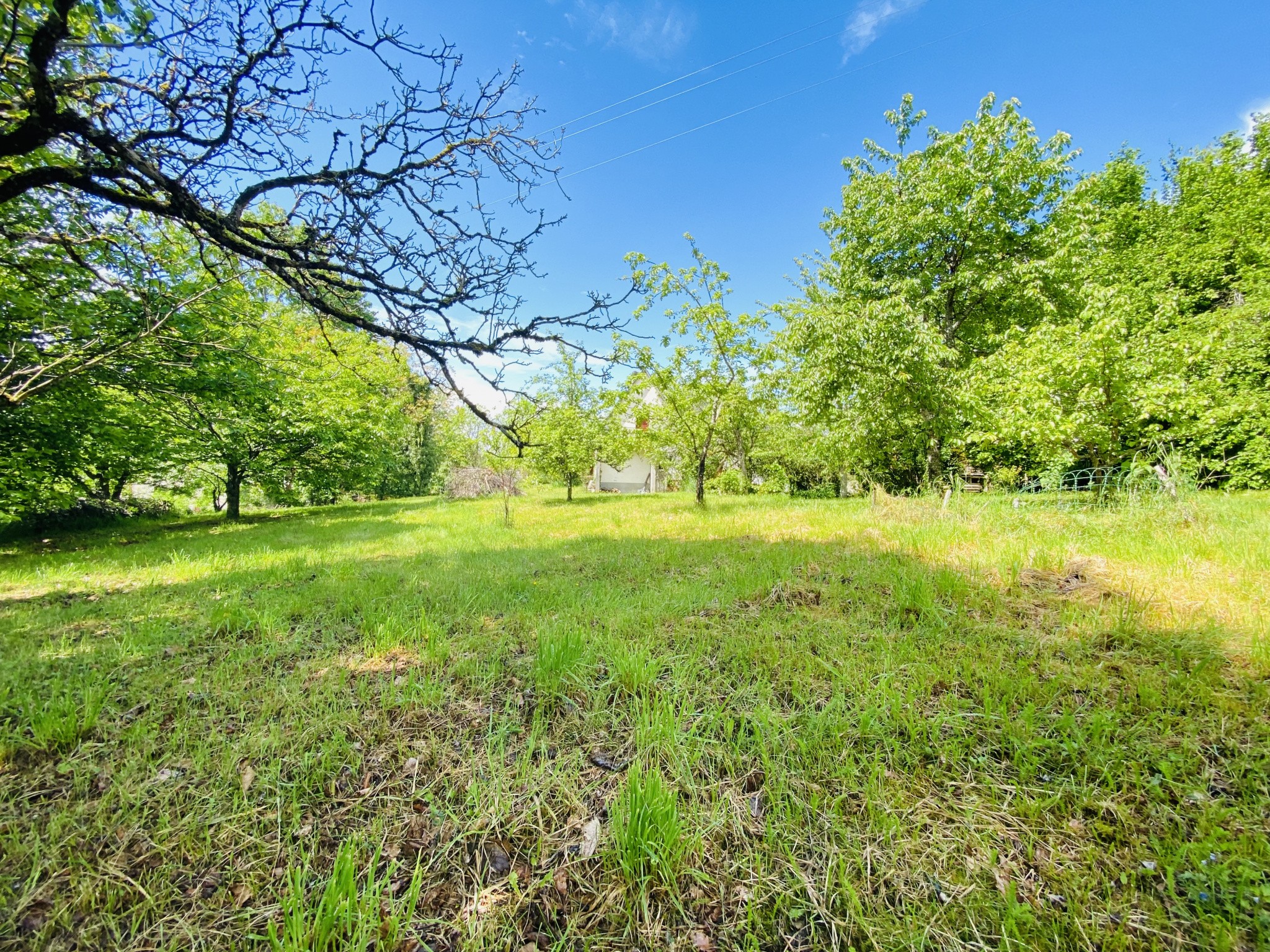 Vente Maison à Albussac 8 pièces