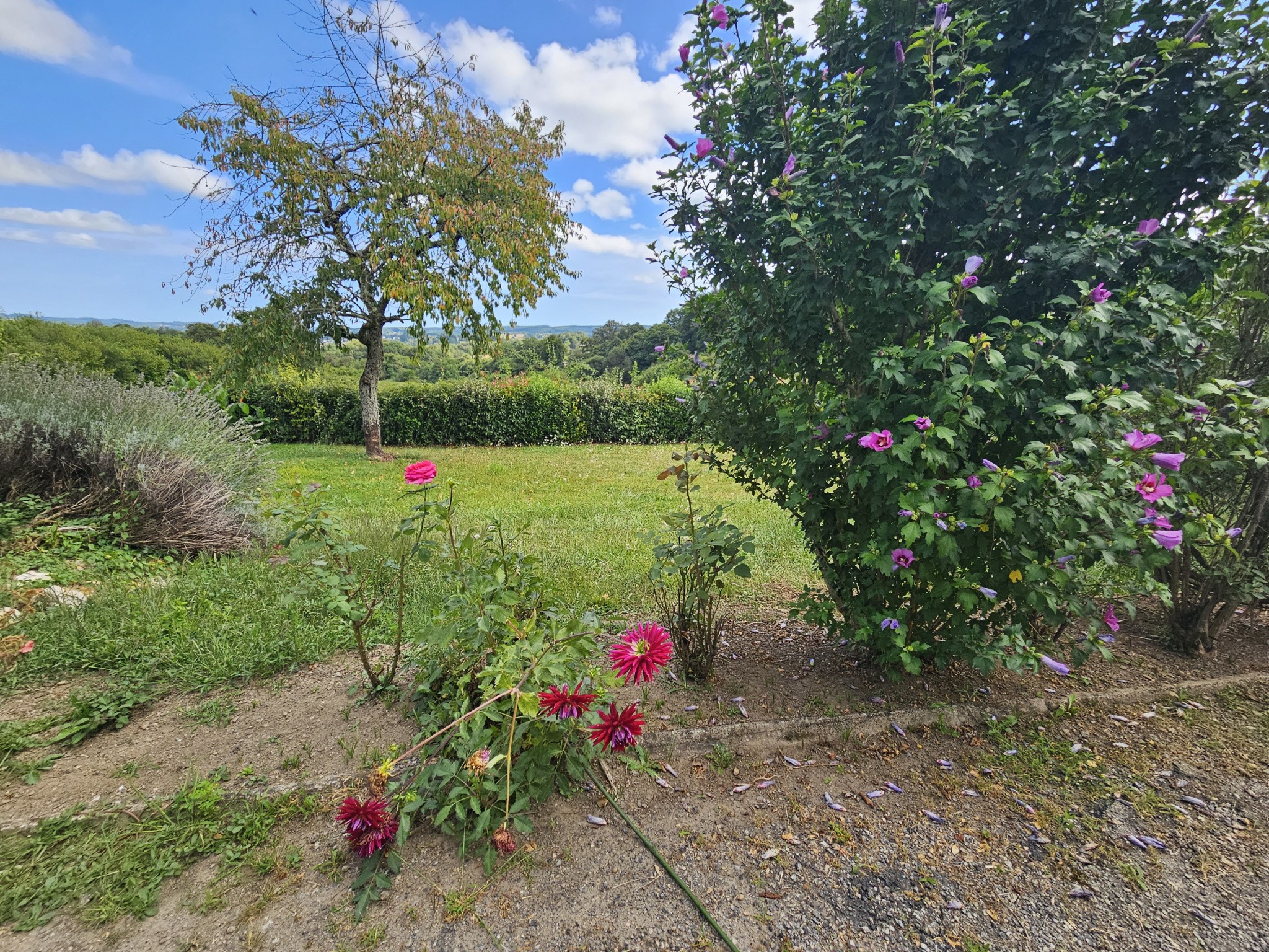 Vente Maison à Châteauneuf-la-Forêt 8 pièces