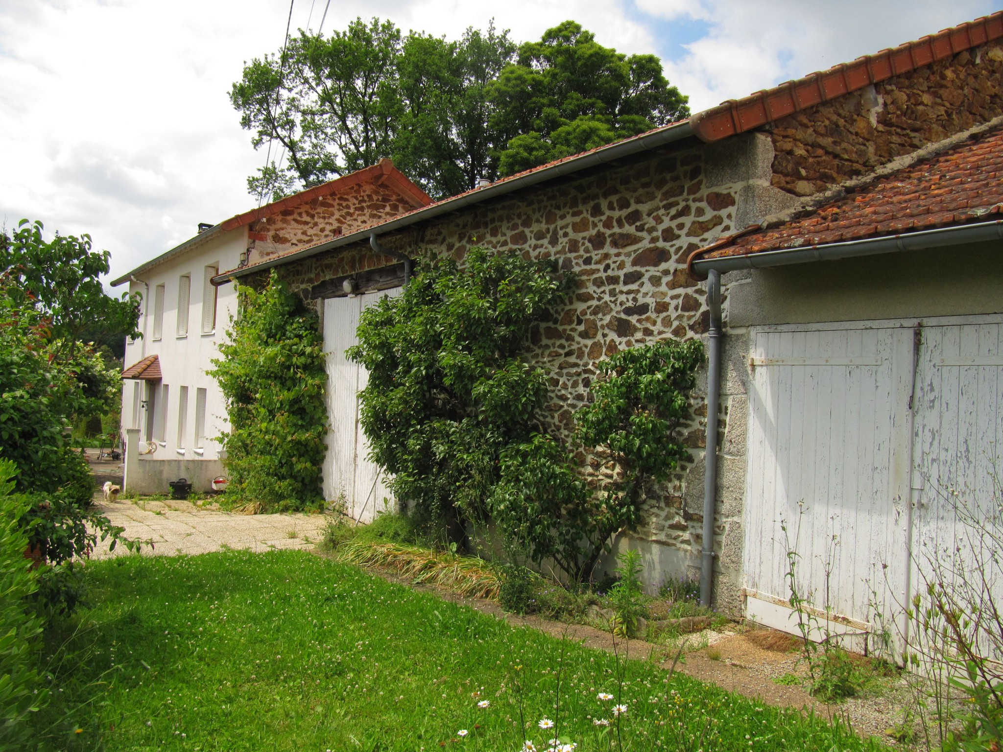 Vente Maison à Bujaleuf 5 pièces