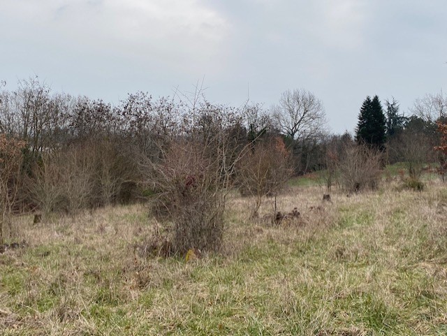 Vente Terrain à Villeneuve-sur-Lot 0 pièce