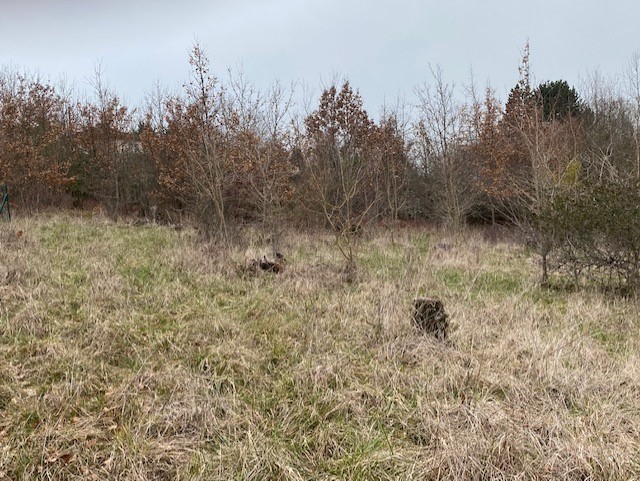 Vente Terrain à Villeneuve-sur-Lot 0 pièce