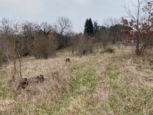 Vente Terrain à Villeneuve-sur-Lot 0 pièce